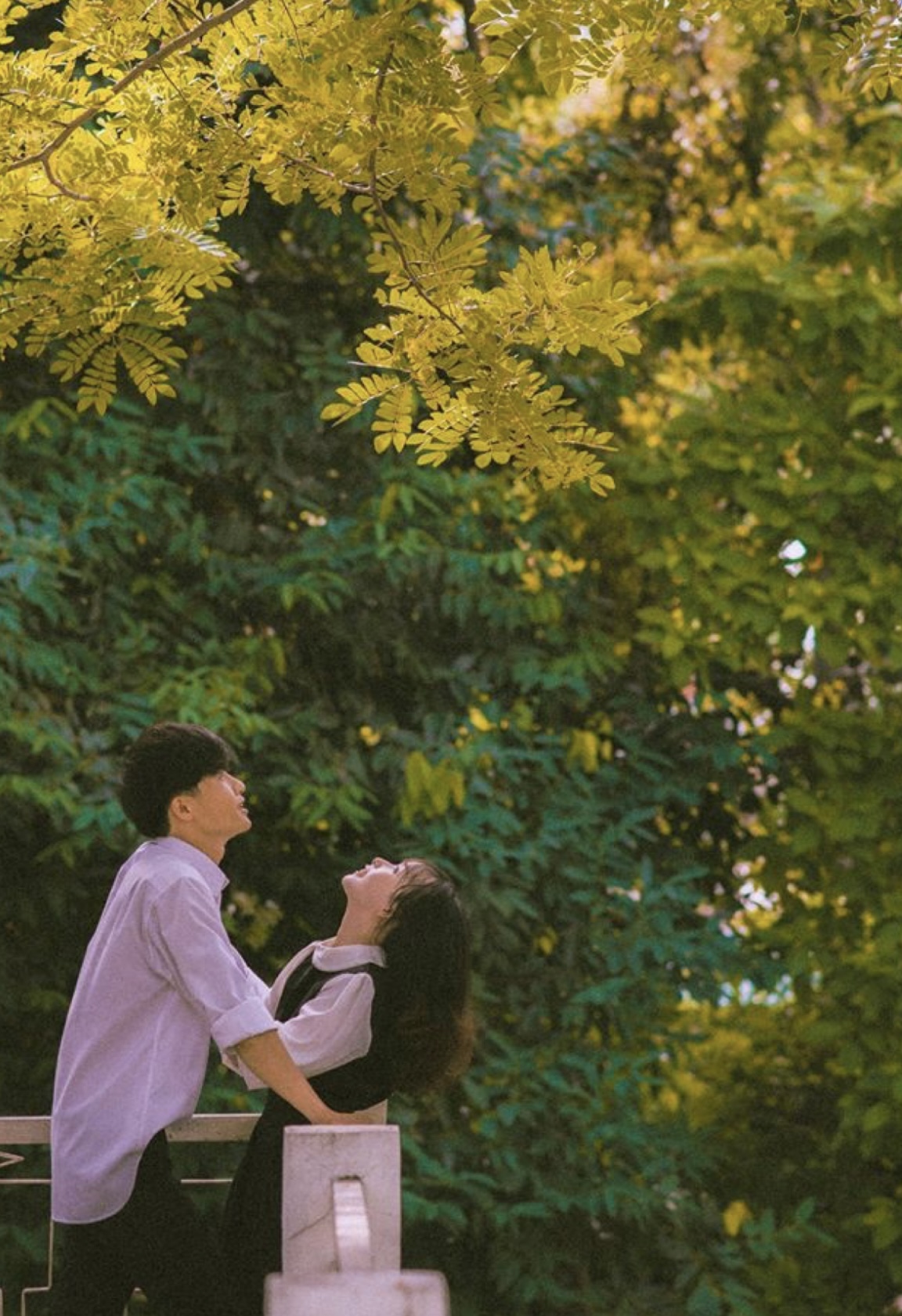 TÌNH YÊU NGẦM