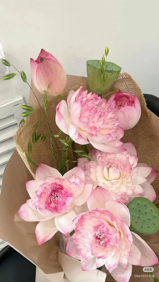 LƯU NGUYỆT BÁO THÙ TRONG BÓNG TỐI