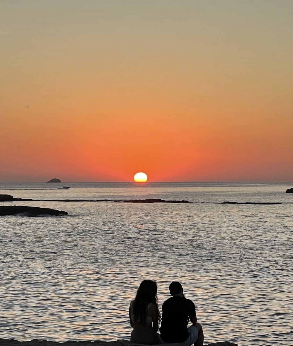ÔN TRI HẠ