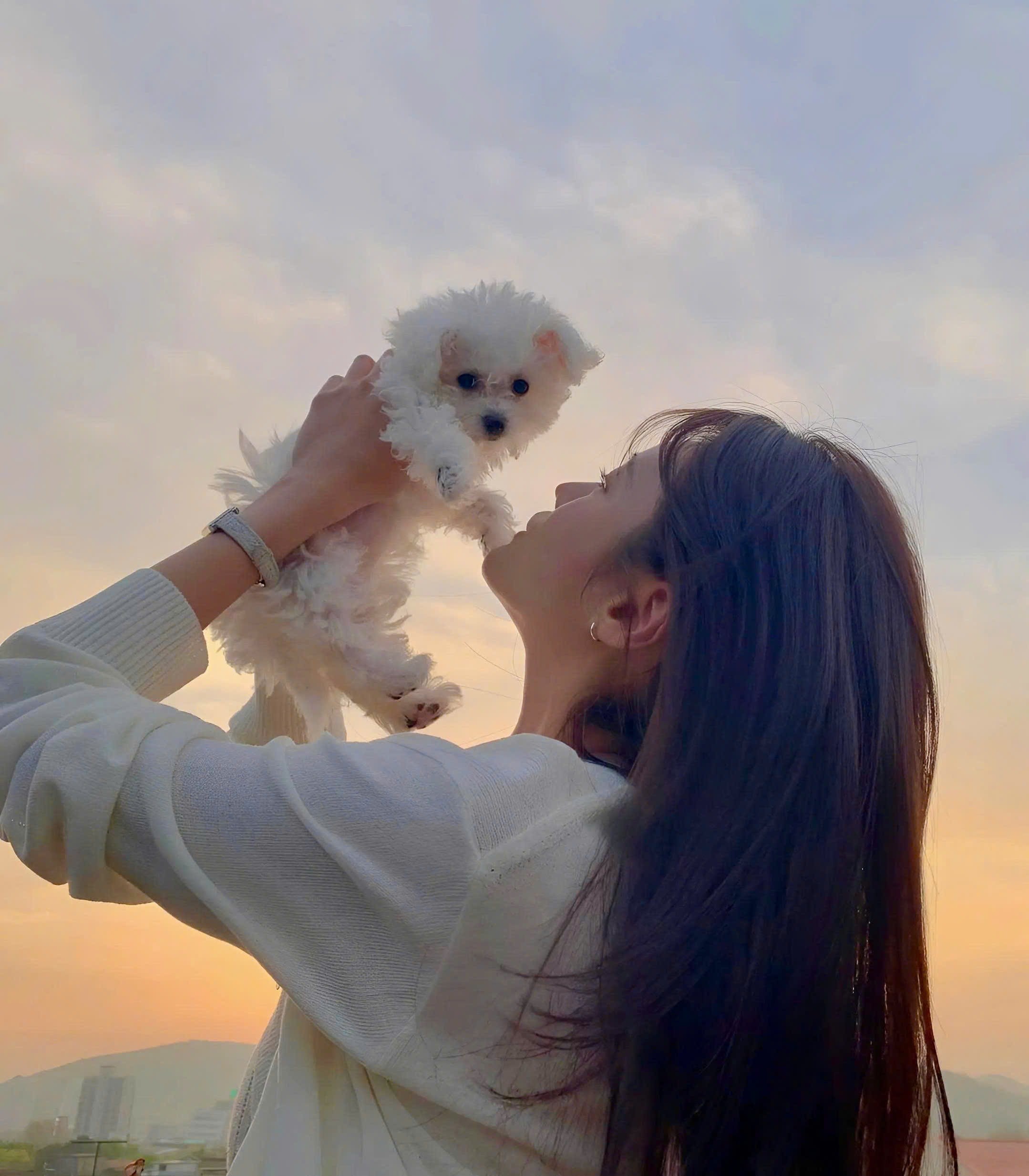 CÚN CON, VỀ NHÀ VỚI CHỊ NHÉ