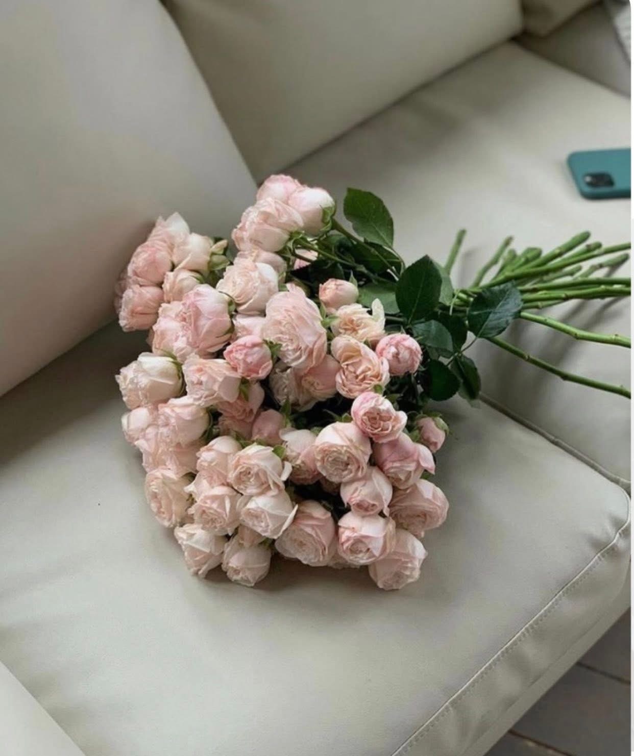 SỐNG LẠI LẦN NỮA ANH CHỌN KHÔNG CHUNG SỐNG CÙNG TÔI NỮA